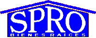 Agent Logo